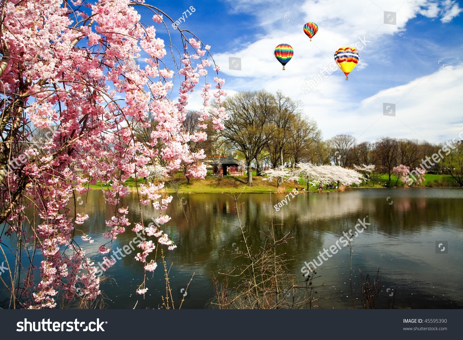 stock-photo-the-cherry-blossom-festival-in-branch-brook-park-new-jersey-45595390 stock-photo-the-cherry-blossom-festival-in-branch-brook-park-new-jersey-45595390